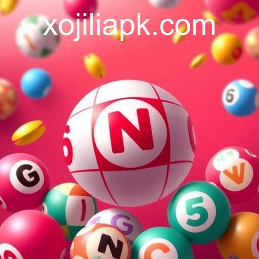 Exploring Online Bingo with XOJILI: A Winning Experience